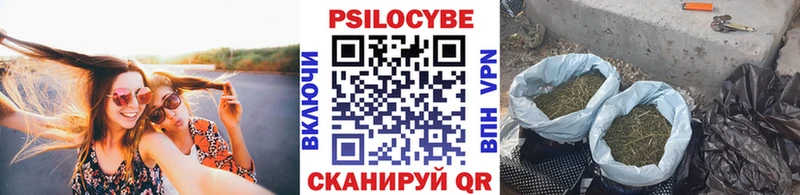 Галлюциногенные грибы мицелий  blacksprut рабочий сайт  Нерчинск 